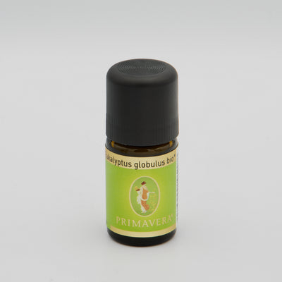 Ätherisches Öl - Eukalyptus bio